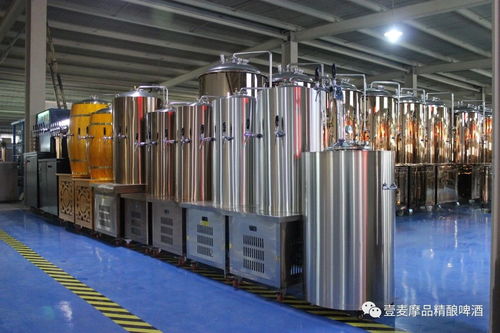 精酿啤酒设备产品构造与电镀成套设备的技术融合