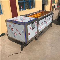 果蔬加工成套设备概述 价格、生产厂家与采购平台