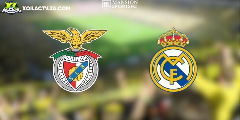 Soi kèo Benfica vs Real Madrid, 3h ngày 29/01 - C1