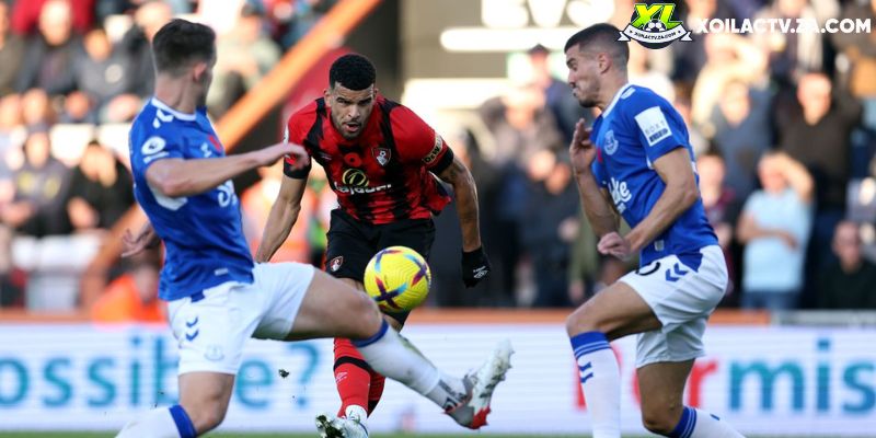Soi kèo Everton vs Bournemouth chi tiết Soi kèo Everton vs Bournemouth chi tiết
