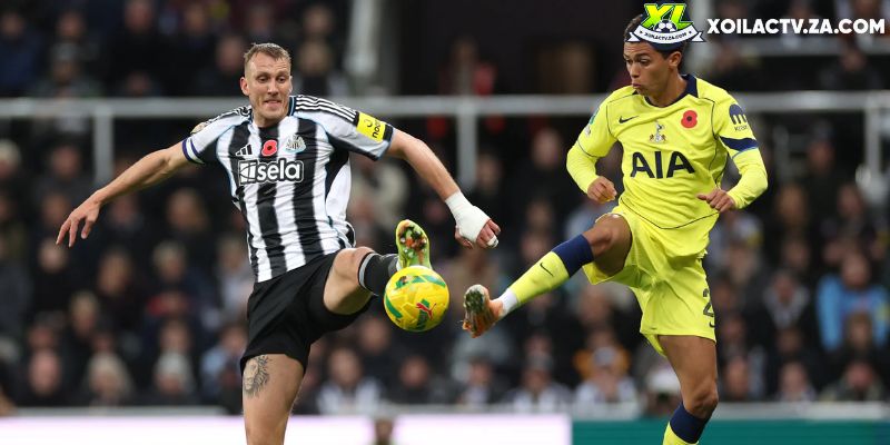 Soi kèo Tottenham vs Newcastle chi tiết Soi kèo Tottenham vs Newcastle chi tiết