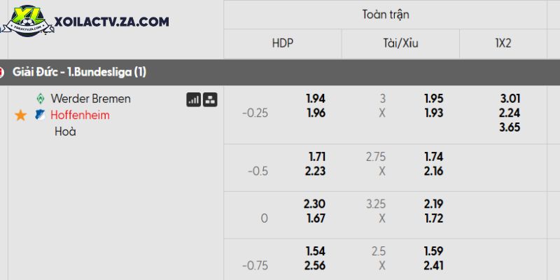 Tỷ lệ kèo Werder Bremen vs Hoffenheim Tỷ lệ kèo Werder Bremen vs Hoffenheim