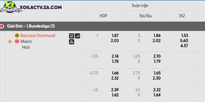 Tỷ lệ kèo Dortmund vs Mainz Tỷ lệ kèo Dortmund vs Mainz