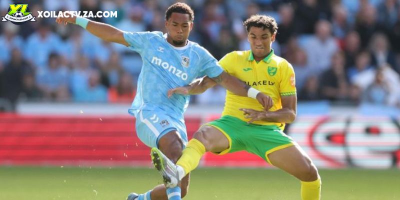 Soi kèo Norwich vs Coventry chi tiết Soi kèo Norwich vs Coventry chi tiết