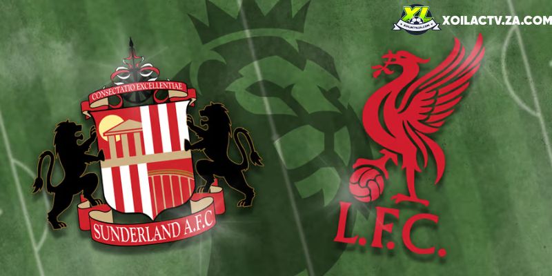 Soi kèo Sunderland vs Liverpool, 3h15 12/2 - Ngoại hạng Anh