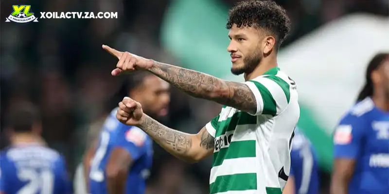 Soi kèo Sporting Lisbon vs AVS chi tiết Soi kèo Sporting Lisbon vs AVS chi tiết