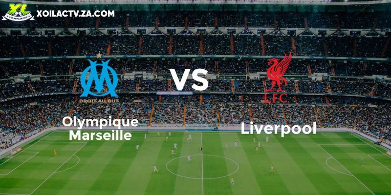 Soi kèo Marseille vs Liverpool, 3h ngày 22/1 - Cúp C1